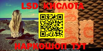 гидропоника Долгопрудный