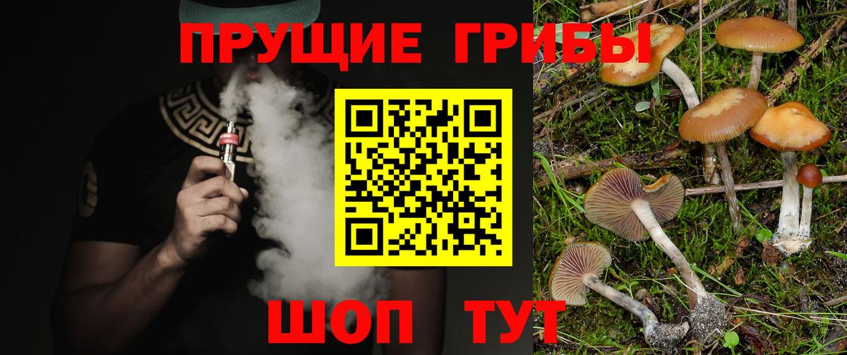 Псилоцибиновые грибы мицелий  Вход с VPN  купить  цена  Горно-Алтайск 